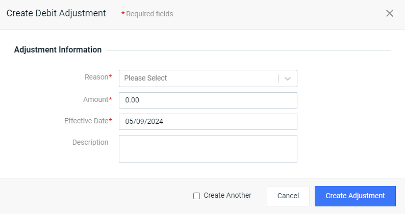 Create Debit Adjustment Window