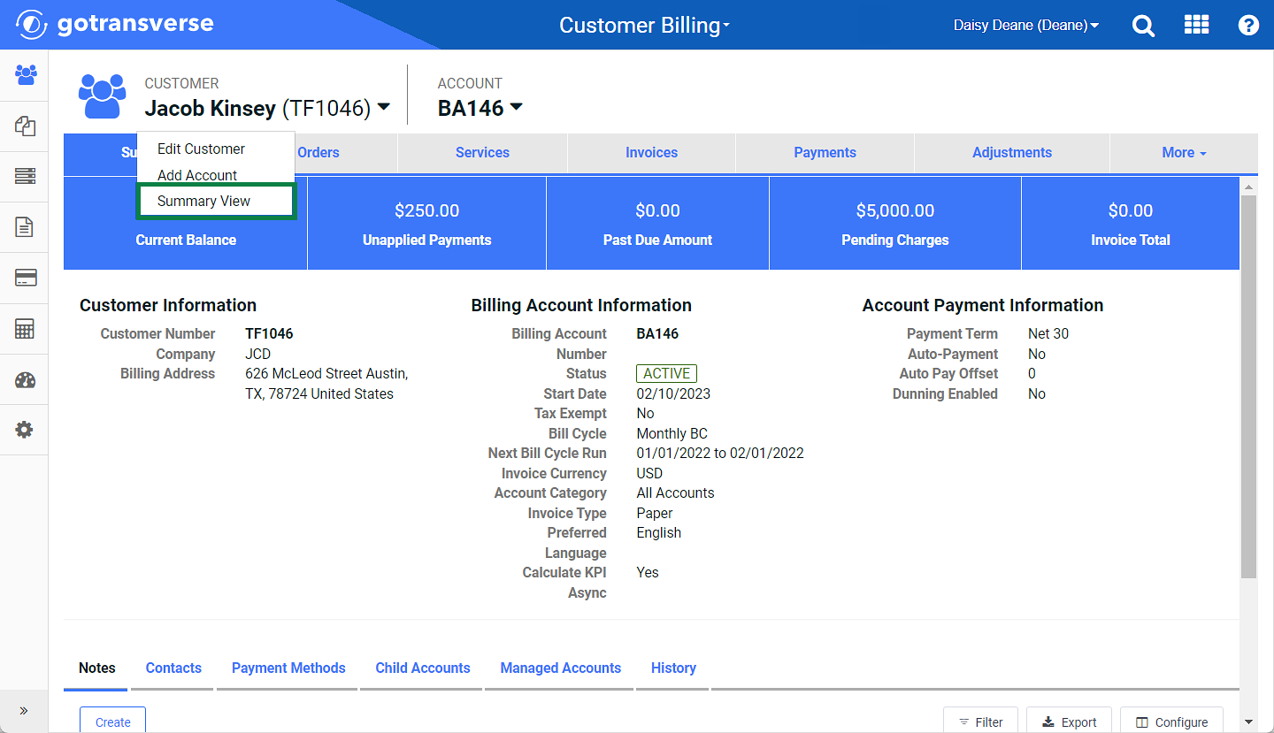 Customer Account Information Window - Summary View Option