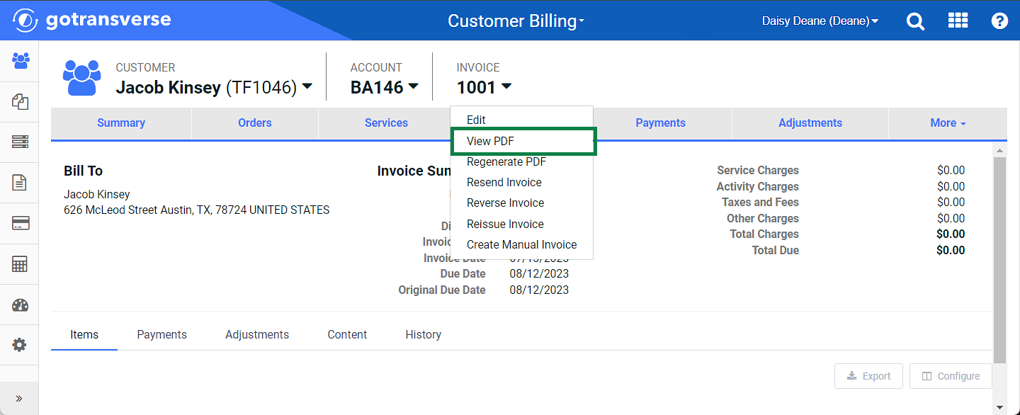 Invoice Detail Window - View PDF Option