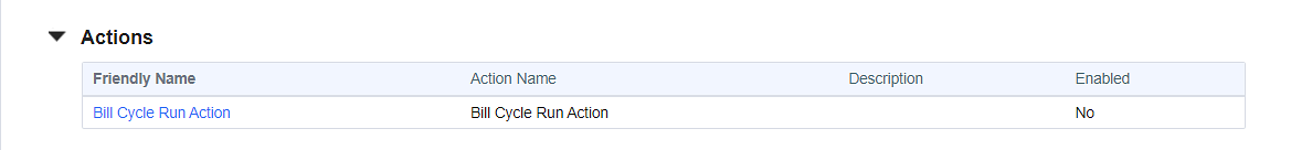 Bill Cycle Run Actions Section